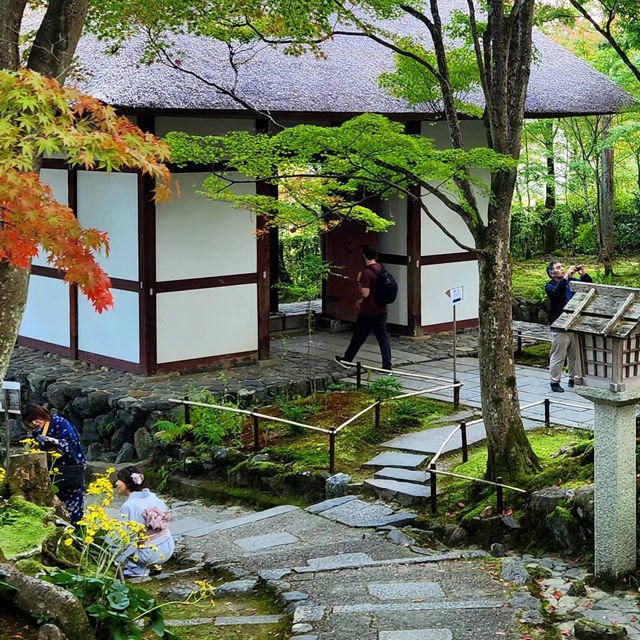 泉岳寺🪻靜謐的禪意