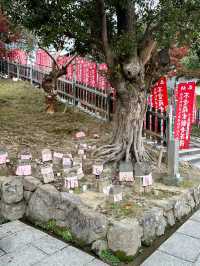 【奈良　興福寺】