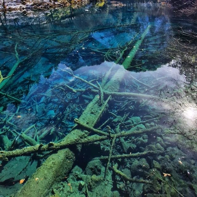 JiuZhaiGou November