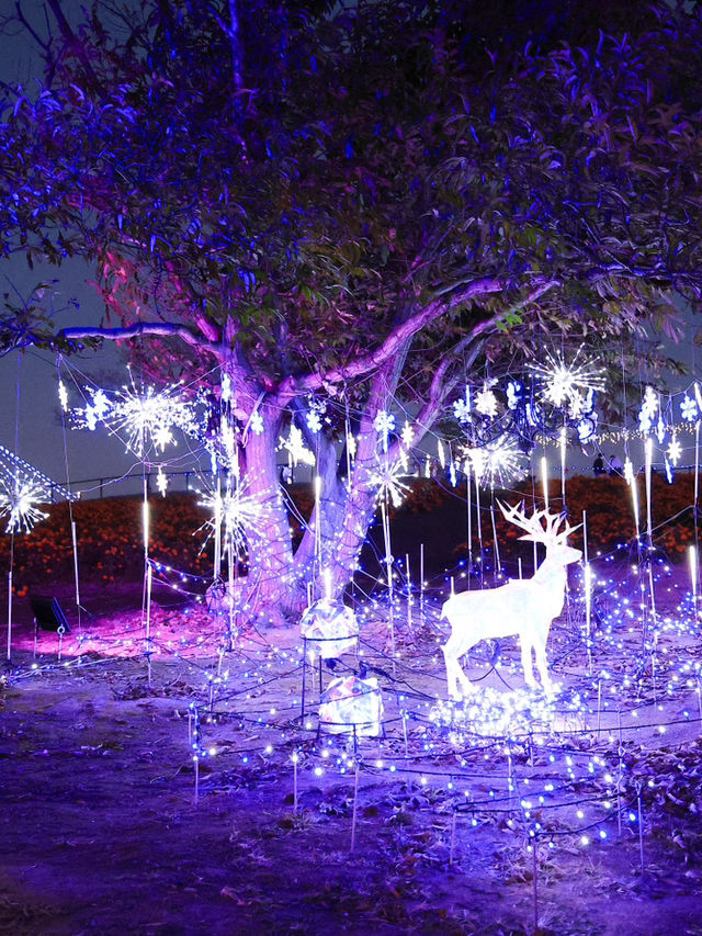 📍 【埼玉】アナ雪の世界に舞い込んだ𝗂𝗅𝗅𝗎𝗆𝗂𝗇𝖺𝗍𝗂𝗈𝗇