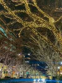 【表参道】🎄クリスマスムード満喫🎁