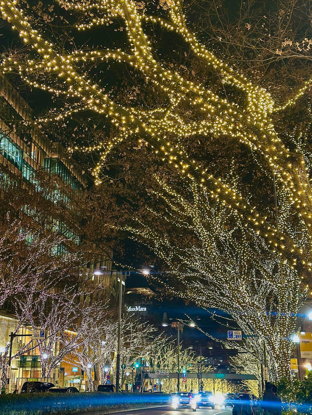 【表参道】🎄クリスマスムード満喫🎁