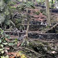 Monkey Forest Sanctuary