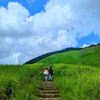 【奈良旅行〜曽爾高原〜】