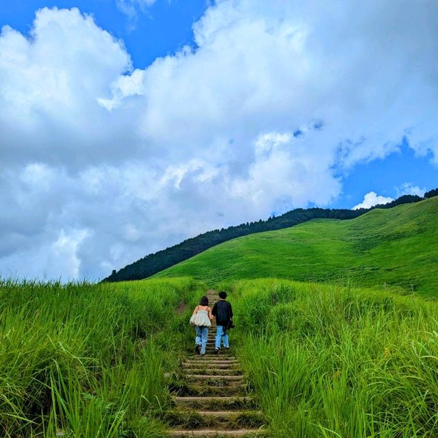 【奈良旅行〜曽爾高原〜】