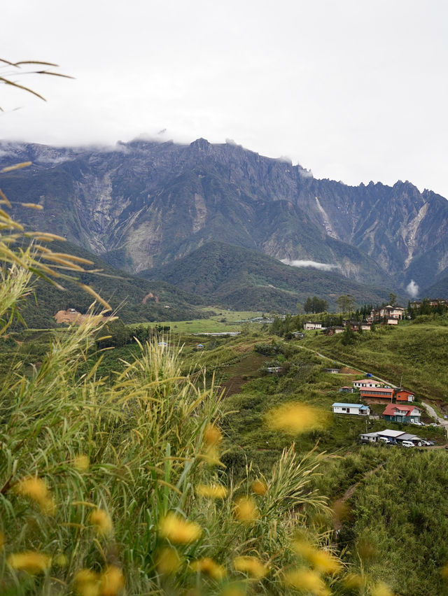 沙巴 | 有小瑞士之稱嘅神山最佳觀景台⛰️