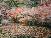 Ryoanji Temple