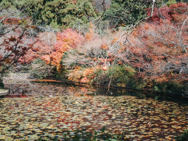 Ryoanji Temple