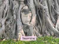 ไหว้พระ 7 วัดจังหวัดอยุธยา