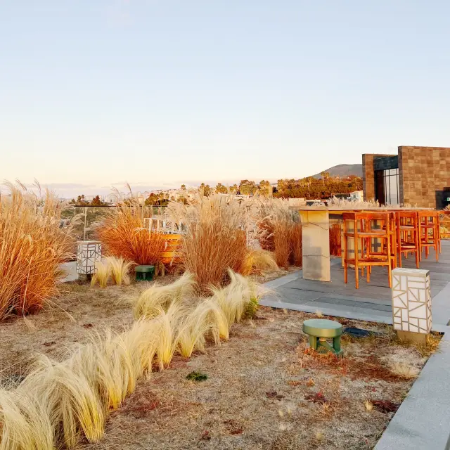 JW 메리어트 제주 야외 정원에서 겨울 새해 일출 보기