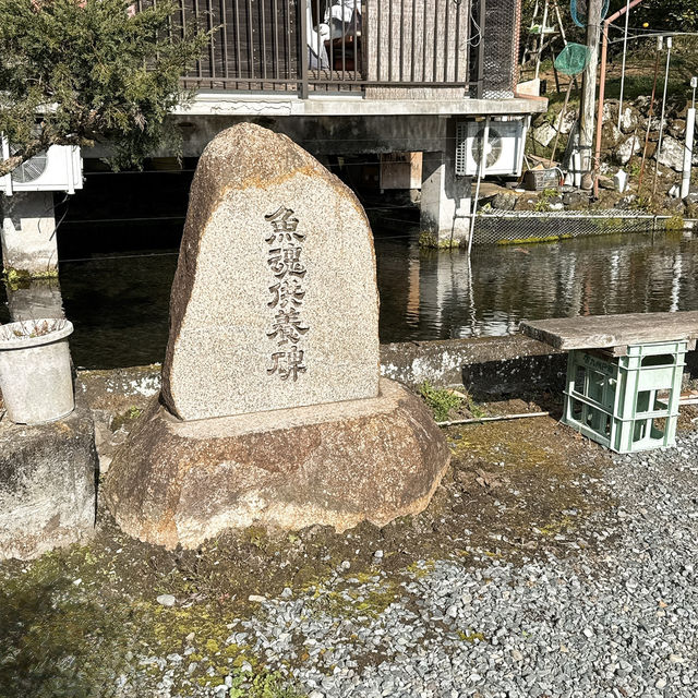 【竹田】新鮮ピチピチ✨釣った魚をその場で食べられる川魚釣り堀🐟