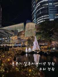 도쿄 롯폰기 일루미네이션 정원. 디올을 곁들인.🌟