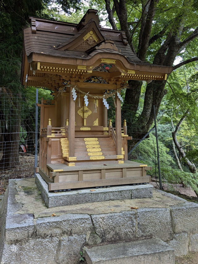 Tanzan Jinjia, Japan