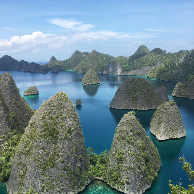 A Paradise Found: My Unforgettable Journey to Raja Ampat!