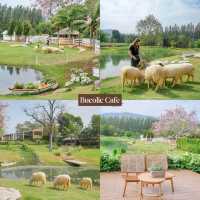 19 Cafe Hopping เขาใหญ่ ปากช่อง 