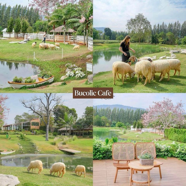 19 Cafe Hopping เขาใหญ่ ปากช่อง 