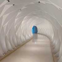 GATEWAY TO TOMORROW | EXPLORING'S DUBAI MUSEUM OF THE FUTURE