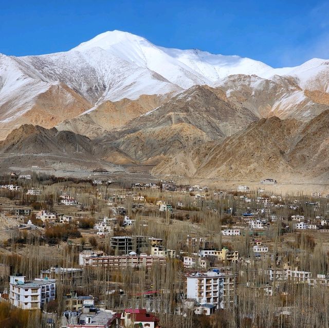 เลห์ ลาดักห์ (Leh Ladakh)