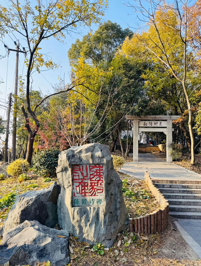 Timeless Beauty: Exploring Huangshan National Park in Summer and Autumn