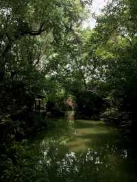 ✨Summer in WuhouCi Chengdu✨