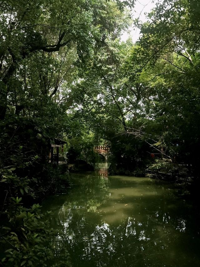 ✨Summer in WuhouCi Chengdu✨
