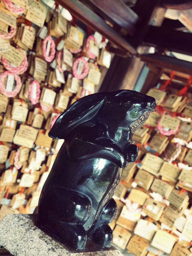 【京都】“うさぎ神社”で縁結び＆子授け祈願🐇✨