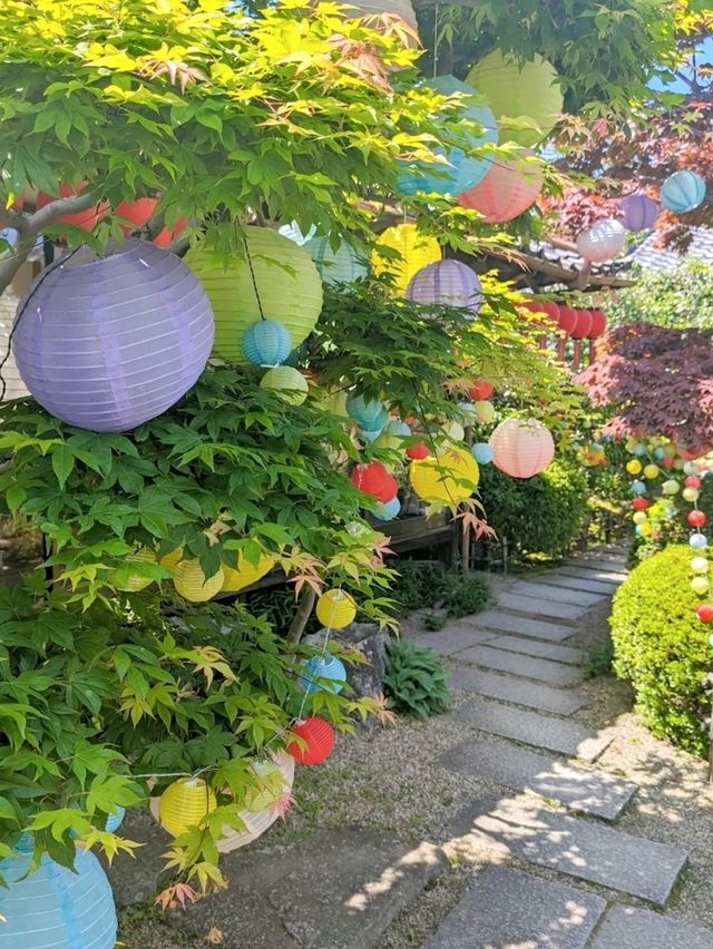 奈良🦌橿原　おふさ観音　提灯まつり🏮
