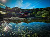【愛知】四季折々の美を楽しむ中部地方最大級の日本庭園✨🌿
