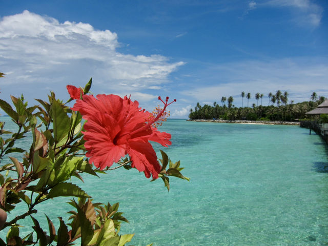 Luxury Meets Nature in the Heart of the Celebes Sea: Mabul Water Bungalows