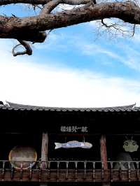 韓國大邱_秋意必訪 桐華寺Donghwasa Temple