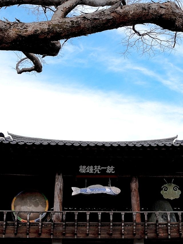 韓國大邱_秋意必訪 桐華寺Donghwasa Temple