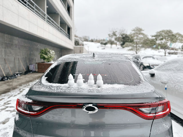 ❄️☃️🧤 제주 겨울의 기억 속 한 장면