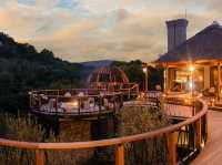 Shamwari Private Game Reserve: A Premier Safari Experience