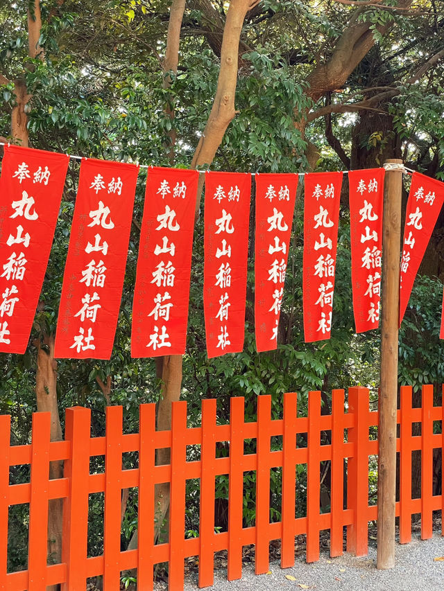 ไหว้พระ ขอพร ที่ศาลเจ้า | คามาคุระ ⛩️🏮