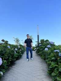 Chùa Bà Đen Tây Ninh