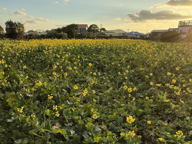 제주 2박 3일 여행 코스
