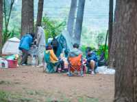 ลานกางเต็นท์ดอยอินทนนท์ 