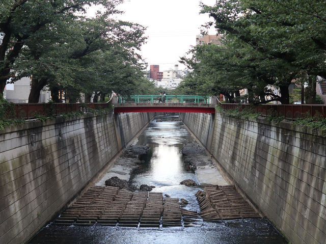 Nakameguro: Tokyo’s Riverside Gem of Culture and Charm