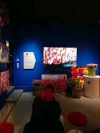 유럽여행 암스테르담 운하의 Amsterdam Tulip Museum