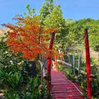 ชิราคาวาโกะ คาเฟ่ คาเฟ่สวยน่าเที่ยว