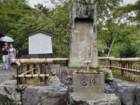 京都天龍寺參訪體驗：嵐山秋日禪境，夢幻曹源池庭園