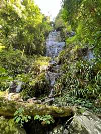 Nature’s Paradise: Hiking Lamington National Park