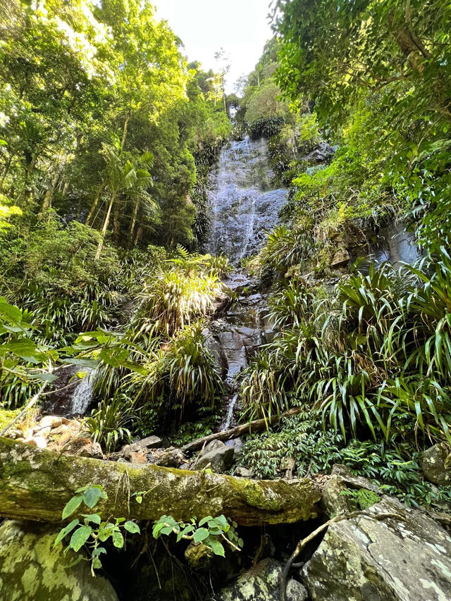 Nature’s Paradise: Hiking Lamington National Park