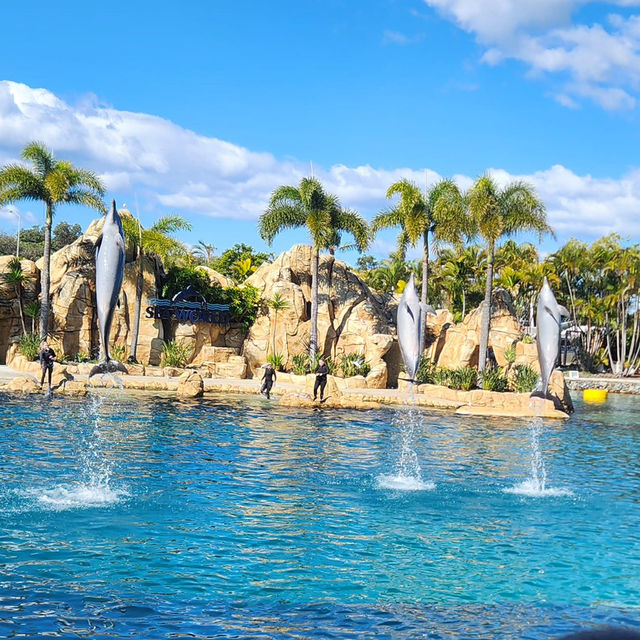 Marine Magic: Sea World Gold Coast Experience
