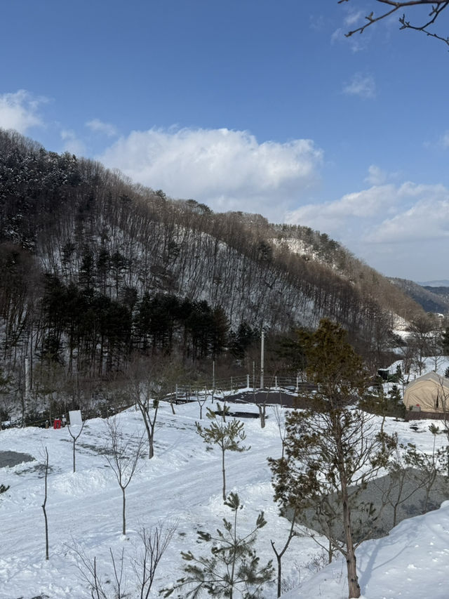 호텔시설 프리미엄 캠핑장