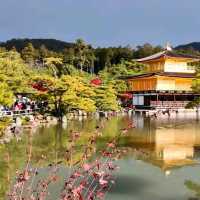 京都好去處