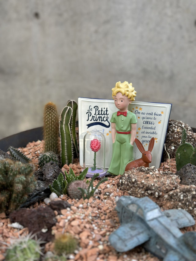 【大阪淡路島】🌵有療癒力量的奇跡之星植物園🌟