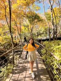 My Ultimate Hwadam Day Trip Itinerary Guide