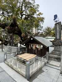 【福岡観光】御神木の大きさに驚き🌳地元で愛される神社⛩