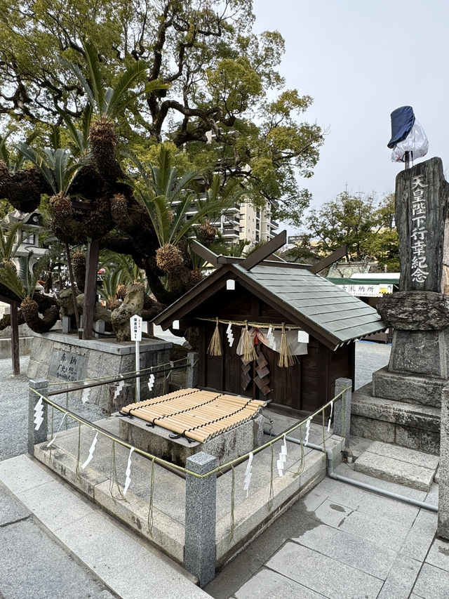 【福岡観光】御神木の大きさに驚き🌳地元で愛される神社⛩
